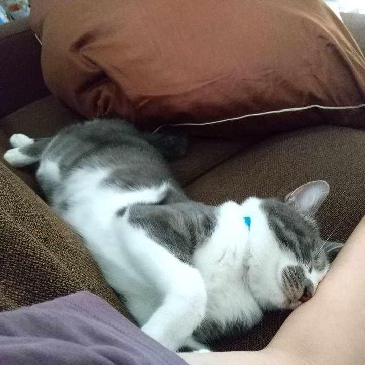 9bbf1ef6 fcad 48fe 8b50 e00b05d876e3 1597372665189