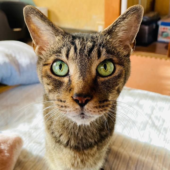 9bbf228a 82cb 42cd b896 feed1b469e30 1605404153220