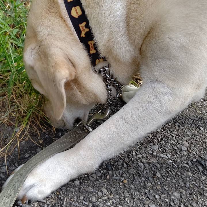 9bbf3973 4413 45ff 9f2f 79f9f13eaf8d 1597884131128