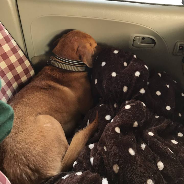 9bbf63db e1f0 480e b166 260a992fef5b 1543560604324