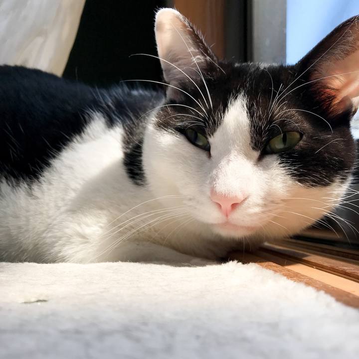 9bbf6679 6886 4169 bb2c 0d6ebfacffce 1524022685941