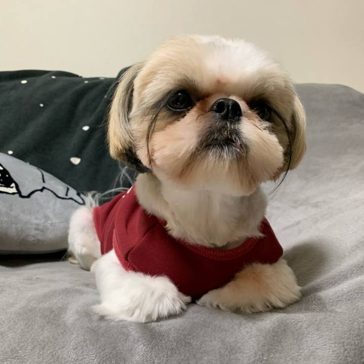 9bbf8ae7 c44d 4faf 9c20 c513a9dc9429 1618317685436