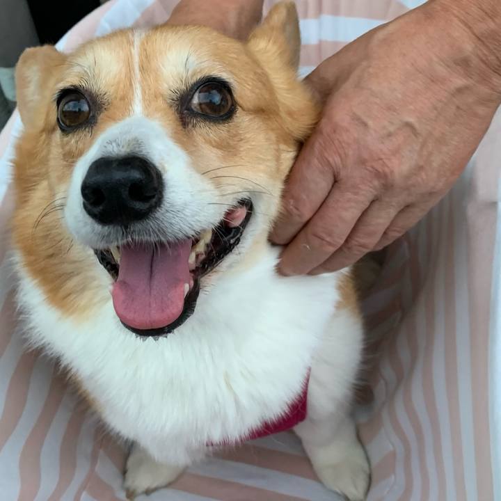 9bbf90f7 2f17 4090 9e7c ce298149f322 1687178485124