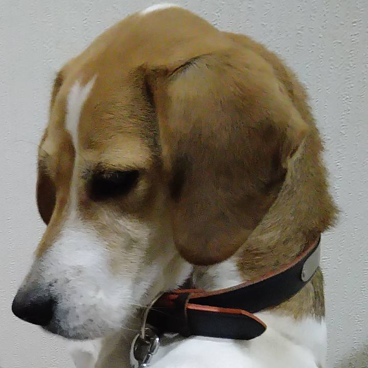 9bbf921c e27d 4f0f 94d4 20e8ba017970 1645113208157