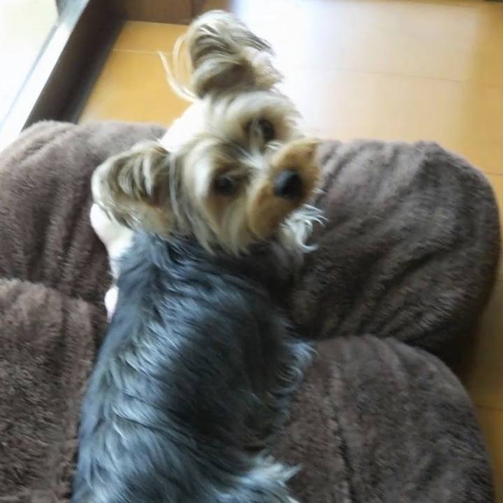 9bbf9f6d bd28 4433 a295 2fbd713477cd 1556597228598