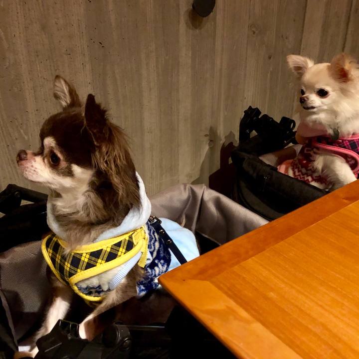 9bbfd507 c4fa 4e7d 8600 2f4f654f9530 1546247544912