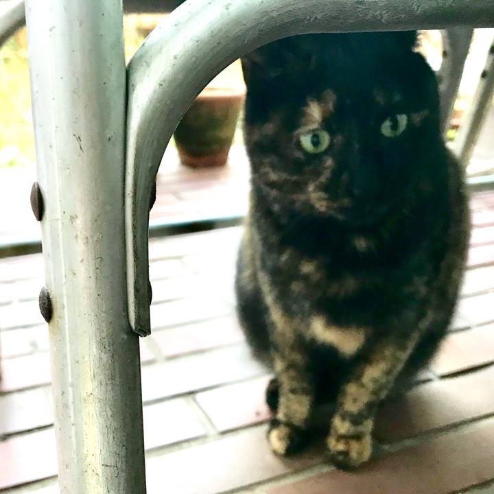 9bbfff93 2abf 4a2d 8fda 3104e97d7db3 1514376804412