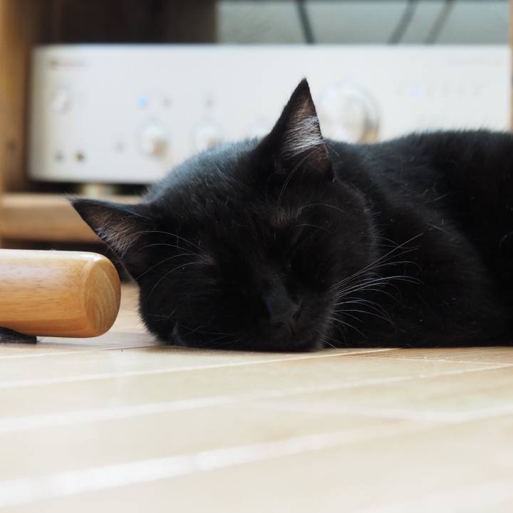 9bc01690 ea94 46a0 b9cd 568386d93faa 1531701378536