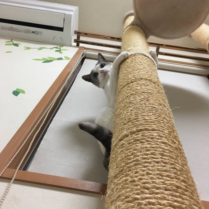 9bc02876 305c 4e77 abbb 29fd50406f35 1600772815537