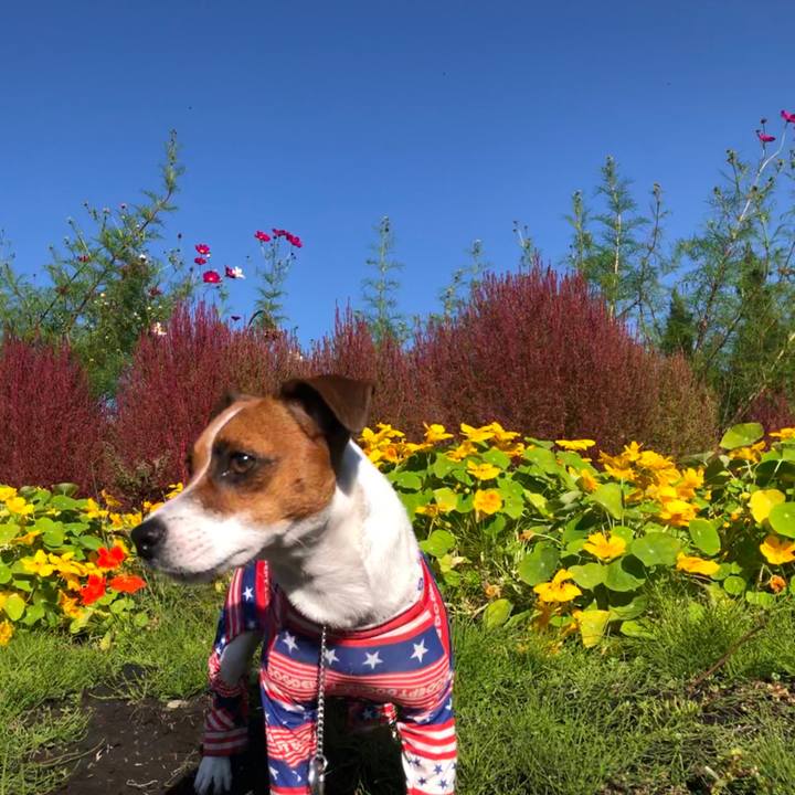 9bc03e80 b977 4648 895f 25c9fc481a32 1570621833297