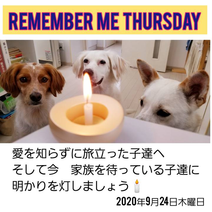 9bc04ace 79eb 4e54 8ddd 4c6396a0bf88 1600907175694