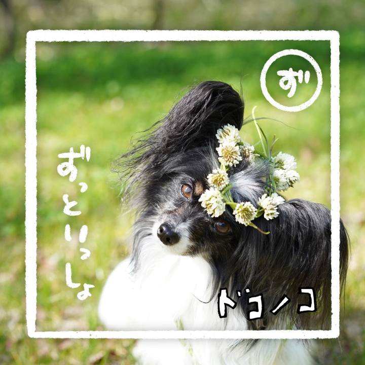 9bc07510 e102 4297 85f3 63c2c7783e71 1685960662712