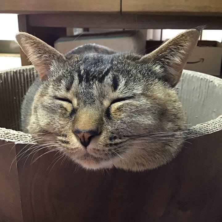 9bc08dba 81e0 44ce 93d6 00037f1bf0aa 1710156286699