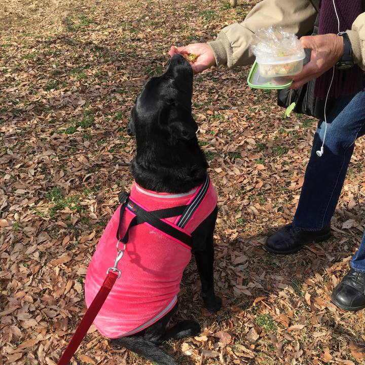 9bc0b72c 7d4f 4eb8 be6e d680ccafccc6 1516004691869