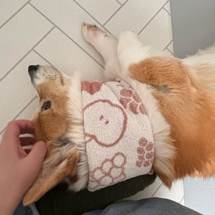 9bc0cbd2 3dc3 4068 b580 fc1274dee4e3 1772066031508