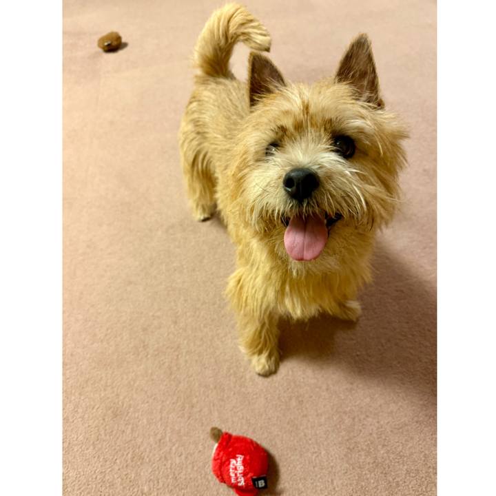 9bc0e14c 59f8 4336 ad00 d2bde280e4fd 1767801107303