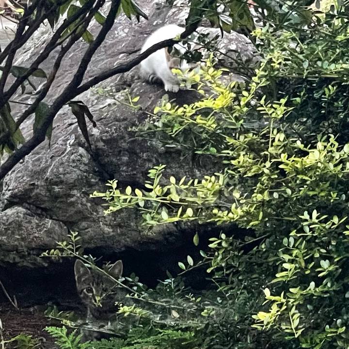 9bc10d1e 3a27 4978 b061 382292ba0a9d 1625948078709