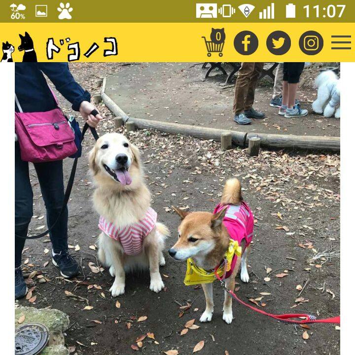 9bc10dde 42ac 4822 b9d2 c5a3ffa0be22 1521511963451