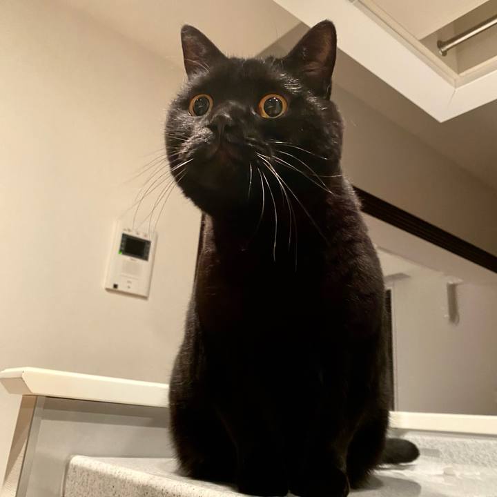 9bc127cf b878 42a2 94d0 563b69de924b 1702129663458