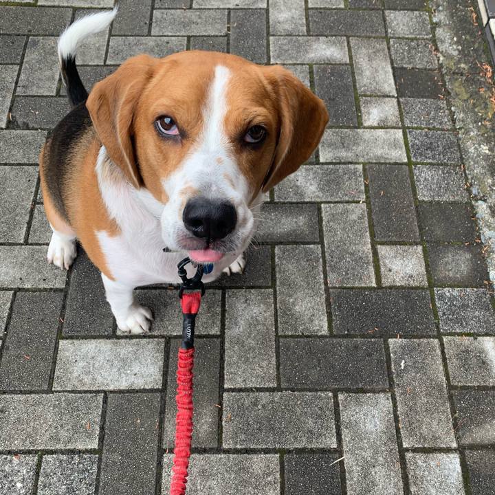 9bc12c0c 411d 4a9f aac0 458809ce871d 1609493544283