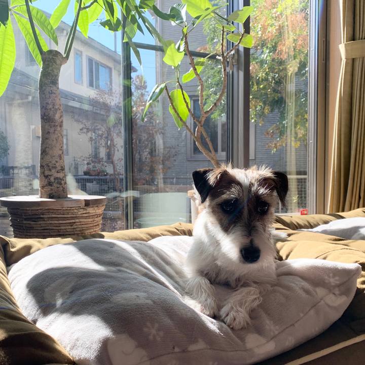 9bc1472c 4744 4182 9df5 1ca9c0d97b74 1575775615076