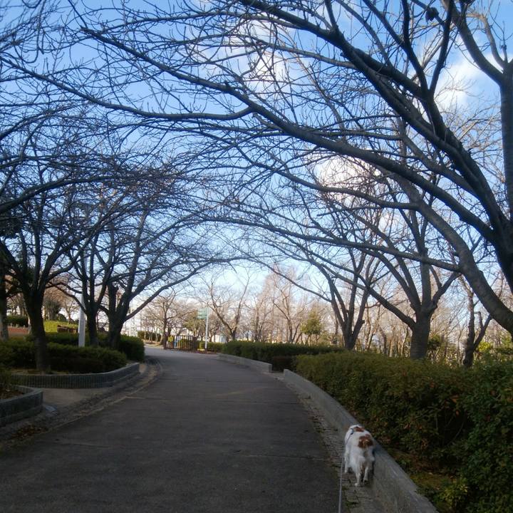 9bc1657e 7911 4c61 b7c1 f43f17589382 1548502429009