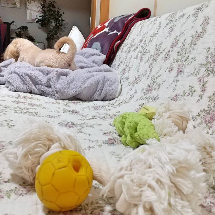 9bc1cc42 8e96 4b08 8786 b8d698dc5356 1592396189759