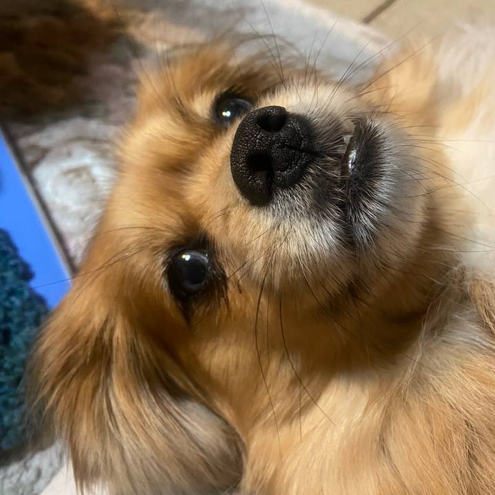 9bc1d653 a10a 4ce4 9cd6 055c79e95b3e 1644270052126