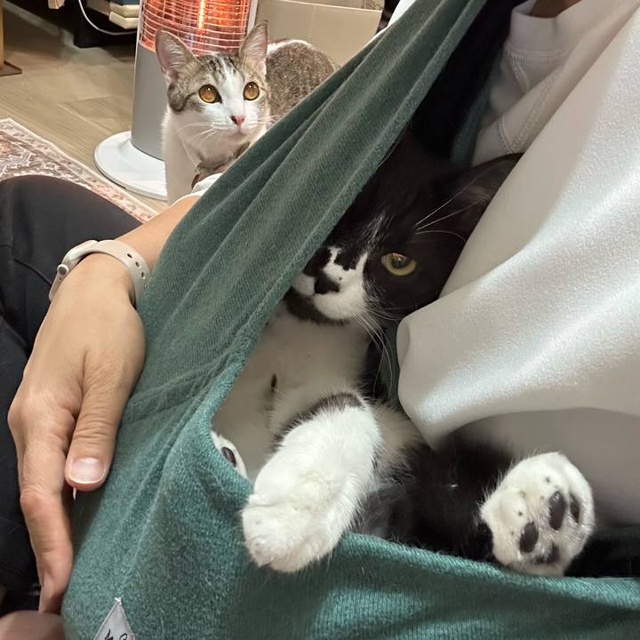 9bc1f902 4821 4922 a62b a6a67c28de5c 1772628758338