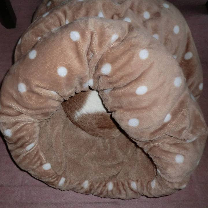 9bc1fa7a 563c 4352 8495 de292d5bb1a6 1509716962468