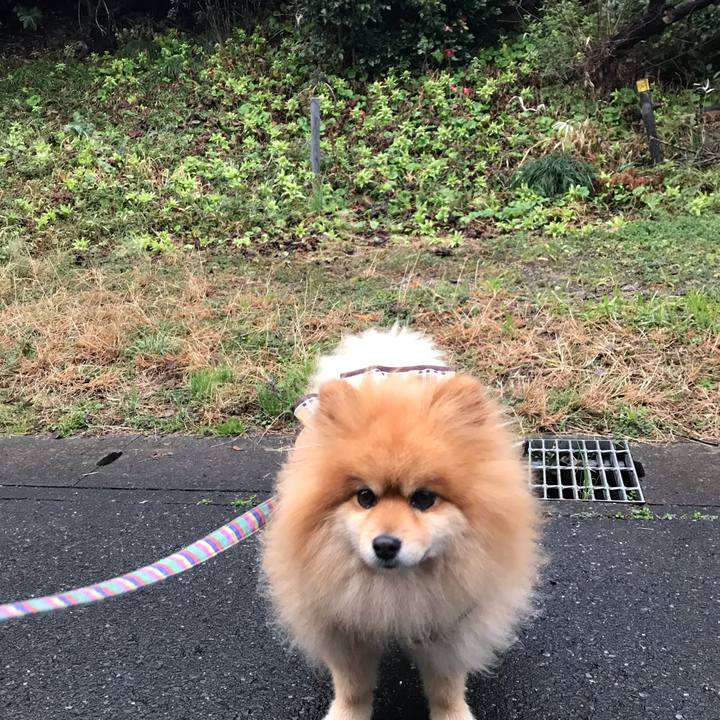 9bc2051a 2c5a 4e7b 8481 33bb774719fb 1551691112493