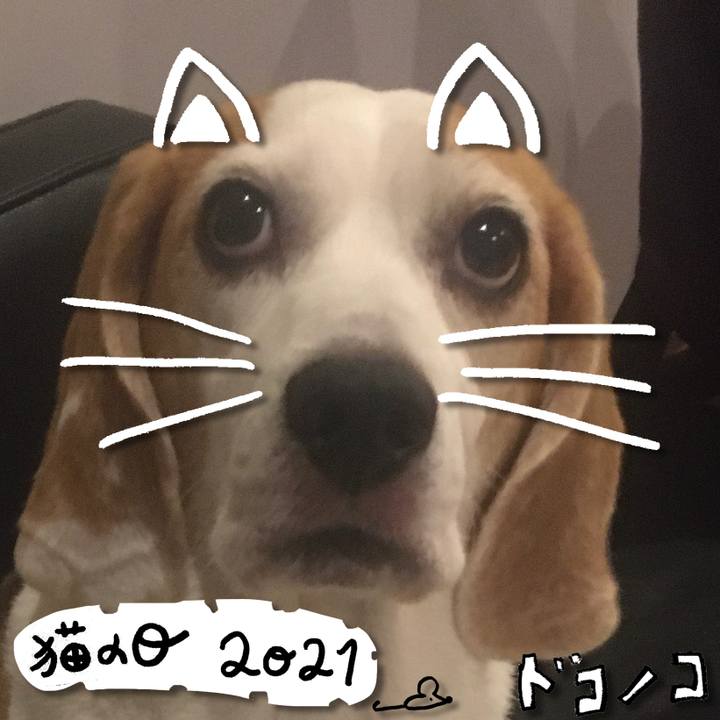 9bc20c78 6bb3 4f83 be98 50d055dd2893 1614004610938