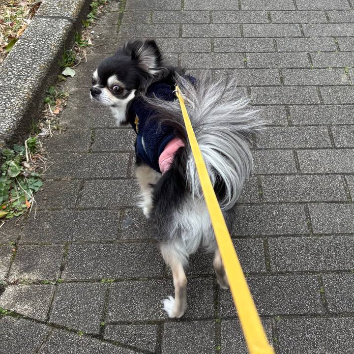 9bc269e6 4ba8 48b0 82d7 d0f43b1d63b3 1742056485493