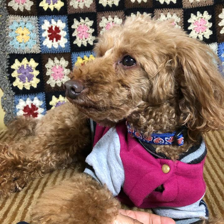 9bc26b46 1454 49a7 a178 f6e100bc6b20 1585012829458