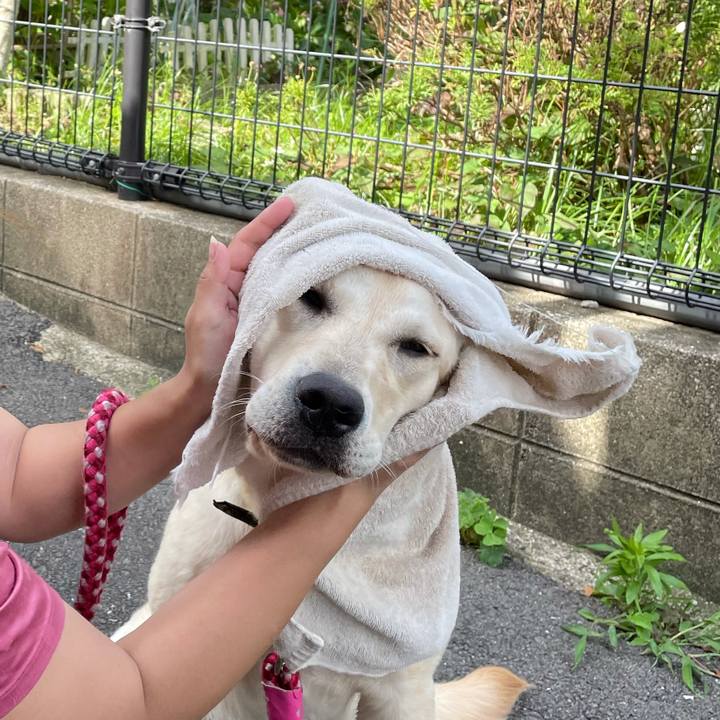 9bc271ea f5ee 40e2 9703 a988819c2af3 1624175828017