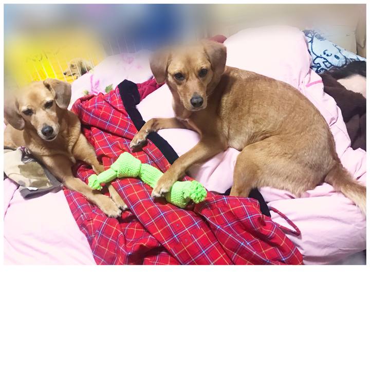 9bc27936 4d58 4e2f af2f 921a04e07e59 1554947290242