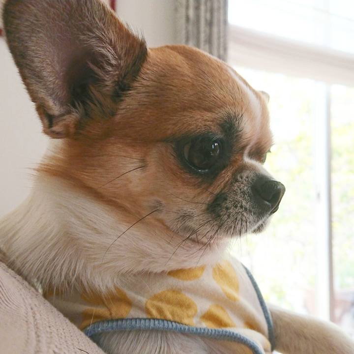 9bc28707 2aa8 4a1a a892 bc2223a24751 1618467617379