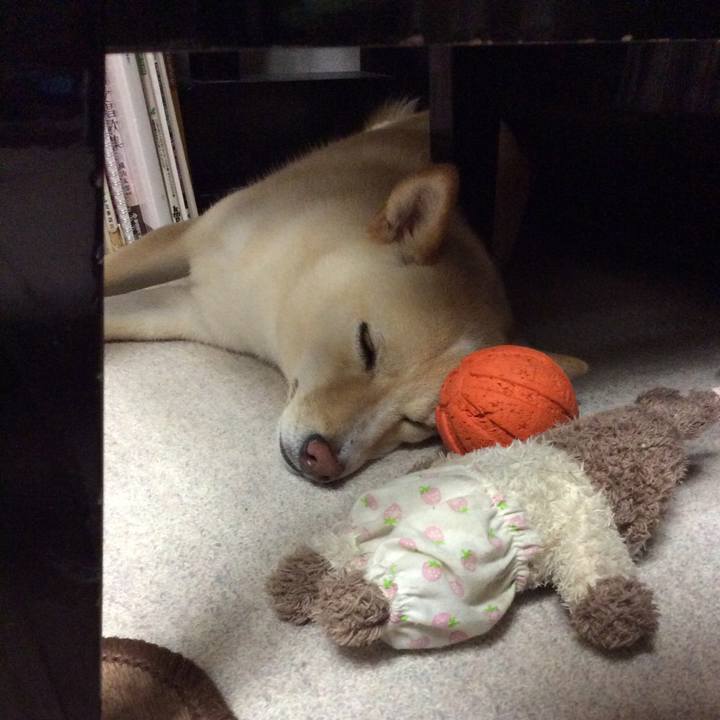 9bc2b5fd 252c 4ecd babf 99185ecc78e1 1535371935519