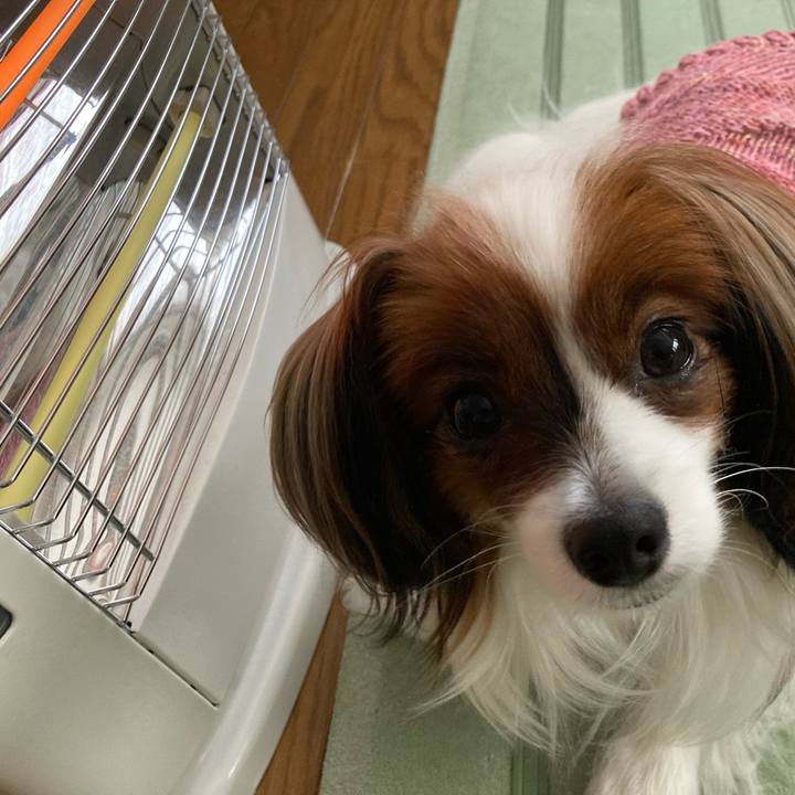 9bc2bf13 05a1 49d4 adb1 d07ca052ef3a 1634861791118