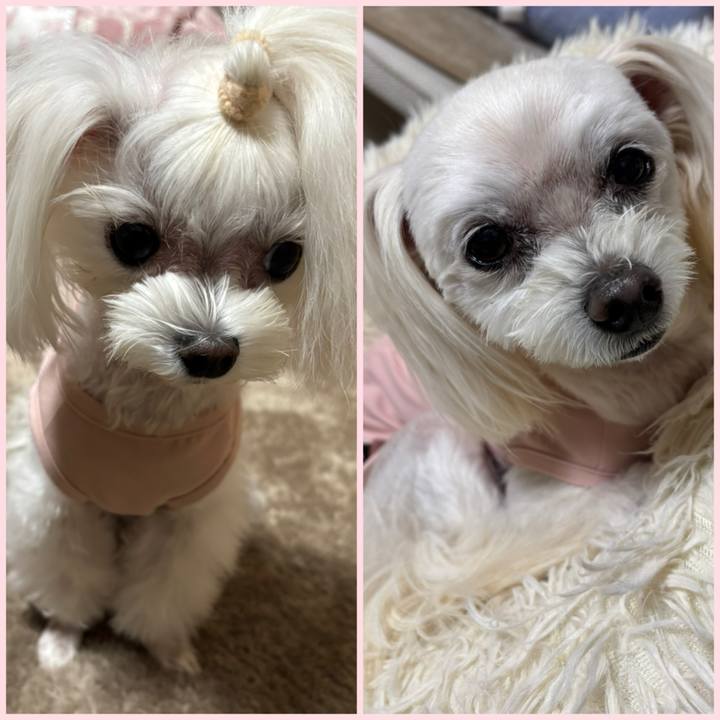 9bc2bfb7 a145 42f9 8b1d 1425cf0ec76b 1766477954812