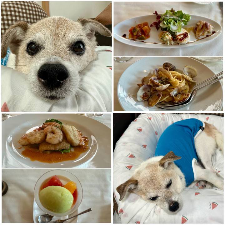 9bc2c2cd 1c8a 4be0 a34a 1e765a91bb23 1750841703399