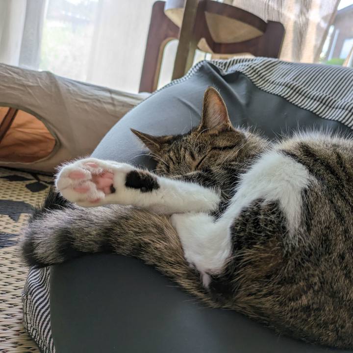 9bc2c6e7 50f1 4fd1 b50d b033e0712e9a 1692340218275