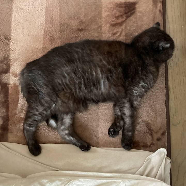 9bc2ecb5 f5a9 4cd7 924d 5b1f90a996ff 1589784216342