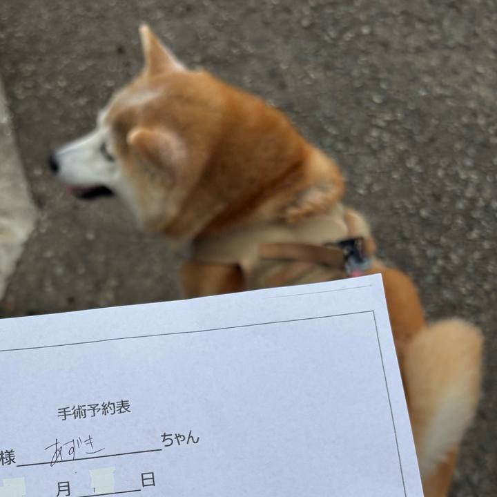 9bc2ed90 d2df 4c80 979c ca6cc51a9f2c 1741473963304