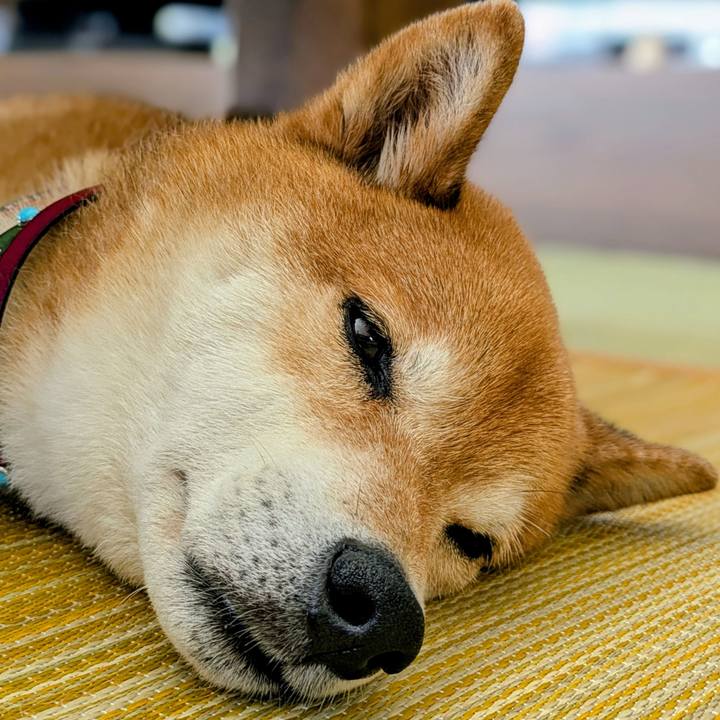 9bc30855 c835 4d3a aebd 5bfa6c787350 1750933908925