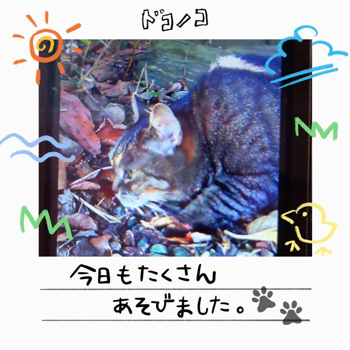 9bc335f6 fc47 4895 bbd5 6c97efd40dac 1755257678148