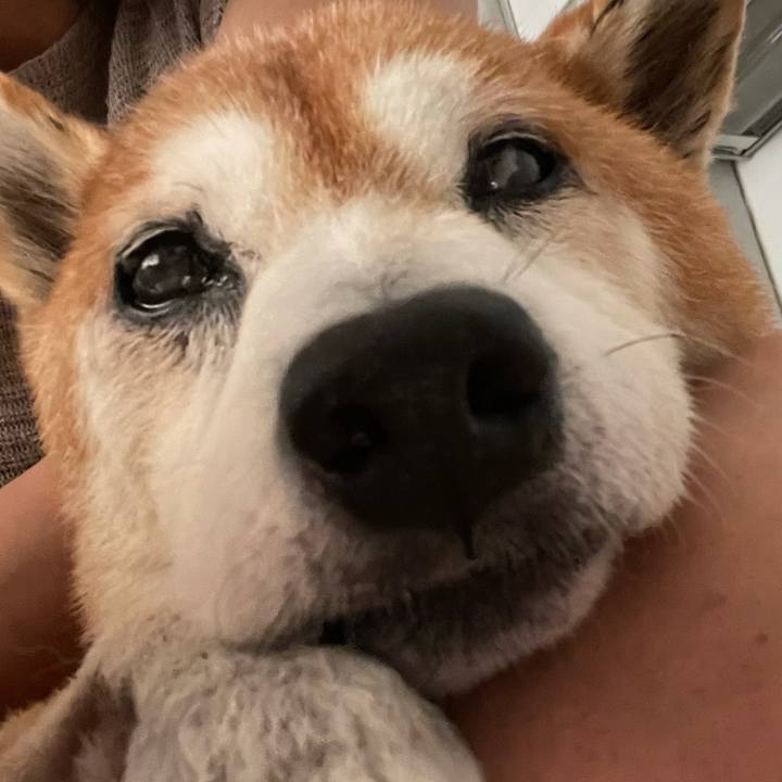 9bc34dec 9654 4e9d 812b fcf1bbeeafa6 1630121077068