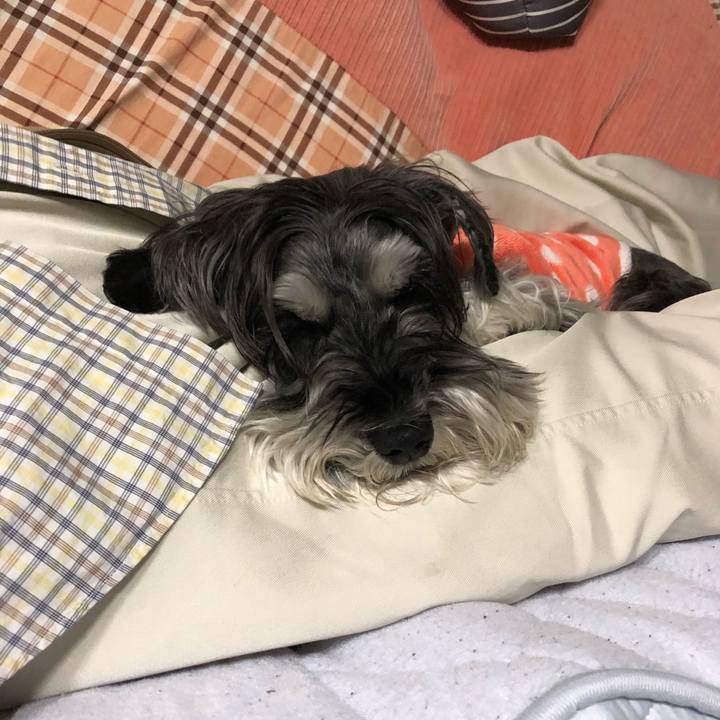 9bc3800c 151b 4200 b74d 59d49eaa6f2c 1682684183144