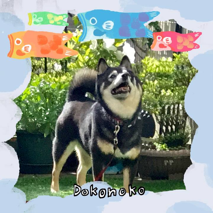 9bc425ee 7294 40c7 973f de3850c88f0a 1749094227737