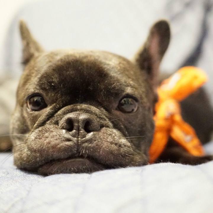 9bc43092 4add 4e13 9c38 34da497f61a8 1536406728178